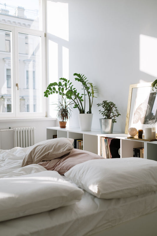 Rafraîchisseur d'air bien utilisé dans un intérieur frais